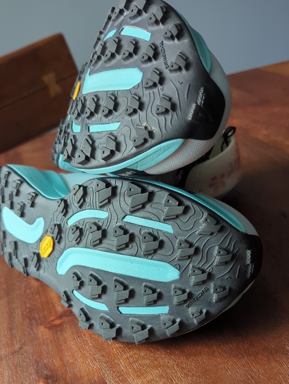 Mount To Coast T1 Hiking Trail Shoe - Snow Line - Picture 13 of 14